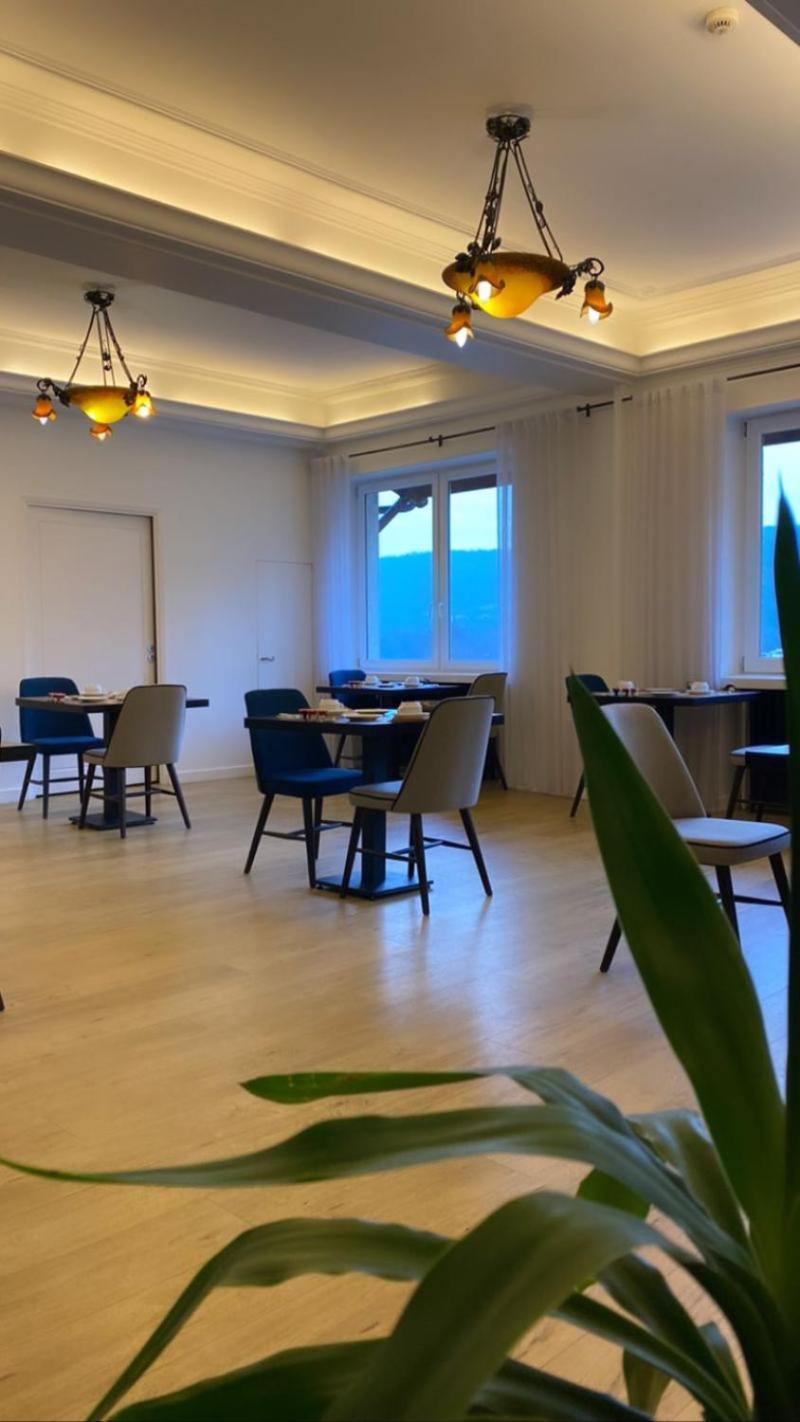 Hotel Le Bellevue Les Roches-de-Condrieu Eksteriør bilde